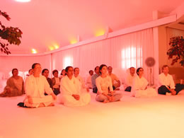 experience we offer2